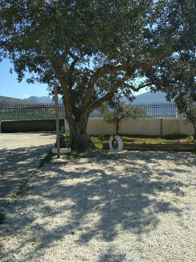 Villa Doxa Ierápetra Exteriör bild